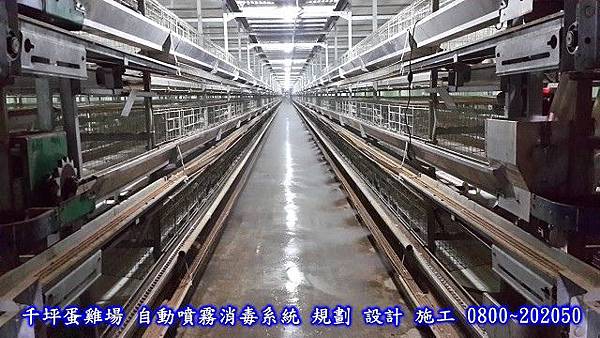 蛋雞場消毒噴霧