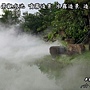 水池人造霧造景設備