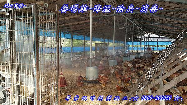雞舍降溫、雞舍降溫、雞舍噴霧降溫 雞舍降溫、雞舍降溫、雞舍噴霧降溫