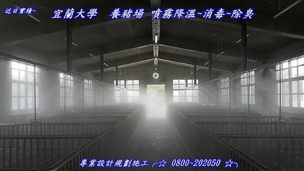 宜蘭大學噴霧消毒設備、養豬場消毒、豬舍降溫、殺菌噴霧 宜蘭大學噴霧消毒設備、養豬場消毒、豬舍降溫、殺菌噴霧