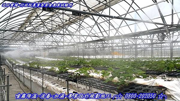 溫室低溫微霧降溫系統、溫室低溫微霧降溫系統、溫室低溫微霧降溫系統