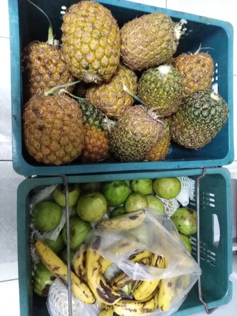 7.18善心人士捐贈水果一批.jpg 7.18善心人士捐贈水果一批.jpg