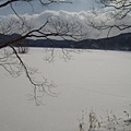 北海道道路周邊風景