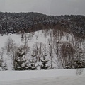 北海道道路周邊風景