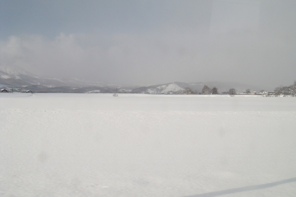 北海道道路風景