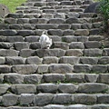 羅東運動公園