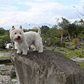 羅東運動公園