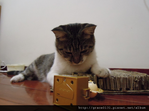 DSCN1054.JPG