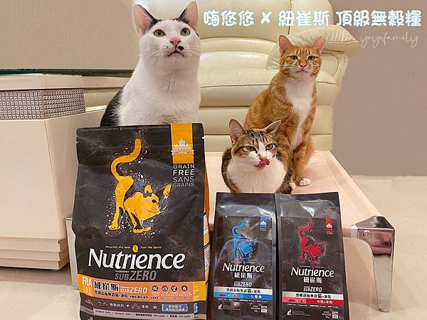 寵物日記｜【Nutrience紐崔斯】含有凍乾的貓糧！Nut