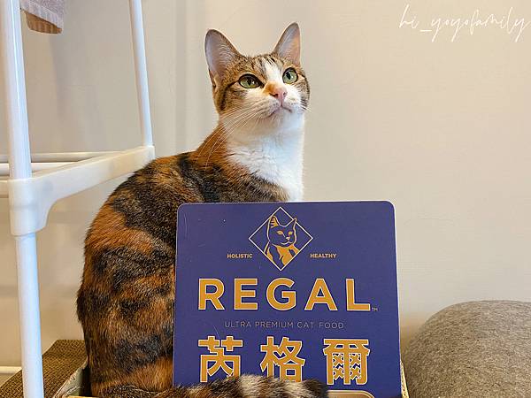 寵物日記｜【芮格爾REGAL】天然寵糧｜毛孩的營養美學｜符合