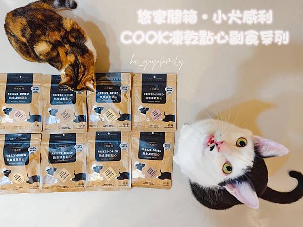 寵物日記【小犬威利】小犬威利COOK凍乾點心系列開箱!10 寵物日記【小犬威利】小犬威利COOK凍乾點心系列開箱!10
