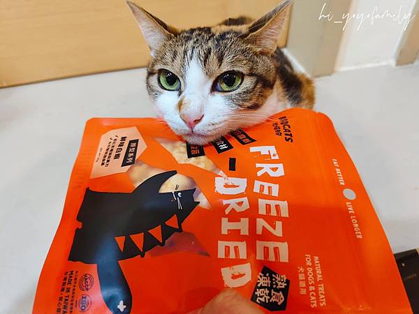 寵物日記【小犬威利】小犬威利COOK凍乾點心系列開箱!10 寵物日記【小犬威利】小犬威利COOK凍乾點心系列開箱!10