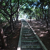 富陽公園-石階步道 028.jpg