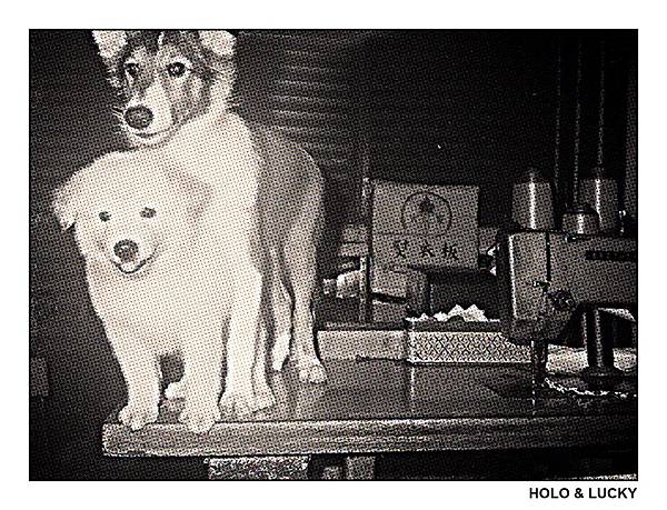 My puppies My puppies