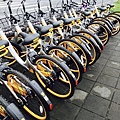 Obike_170602_0052.jpg