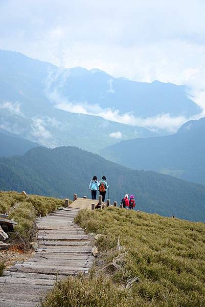 合歡山東峰 (13).JPG