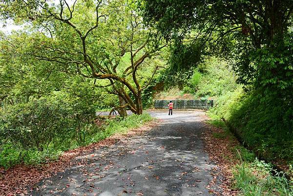 日月潭猫囒山步道 (4).JPG