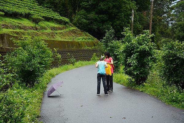 日月潭猫囒山步道 (10).JPG