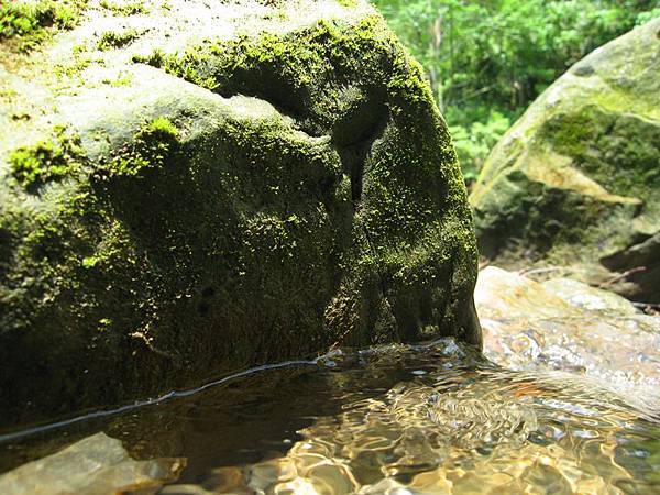 台中太平仙女瀑布 (21).JPG