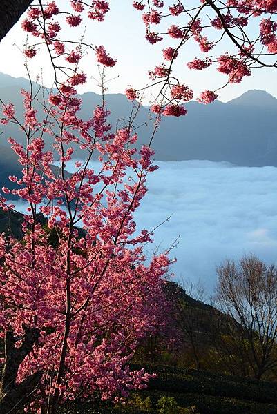 清境小太陽露營 (20).JPG