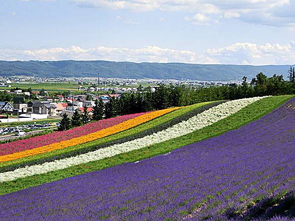 富田農場