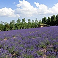 富田農場