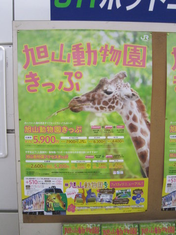 旭山動物園