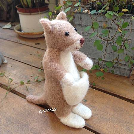羊毛氈---澳洲袋鼠