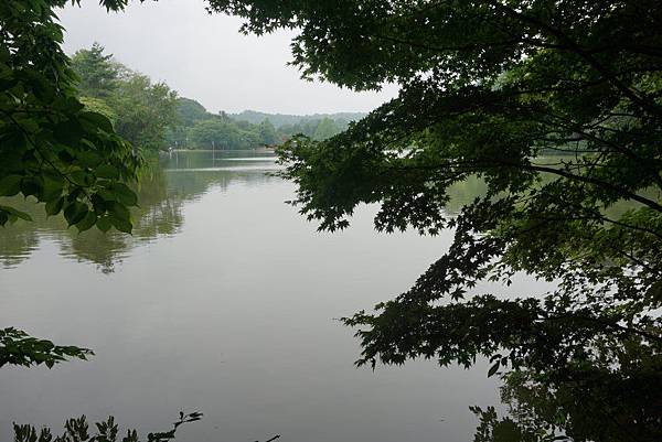 塩澤湖