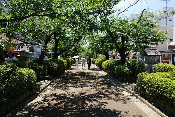 鶴岡八幡宮