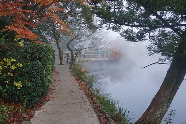 金麟湖