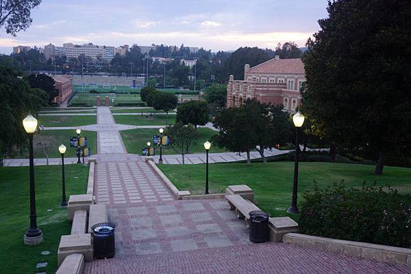 UCLA大學