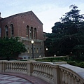 UCLA大學