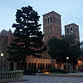 UCLA大學