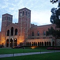 UCLA大學