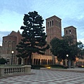 UCLA大學