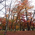 輕井澤王子飯店