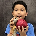 S__5349663.jpg