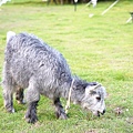 DSC05215.JPG