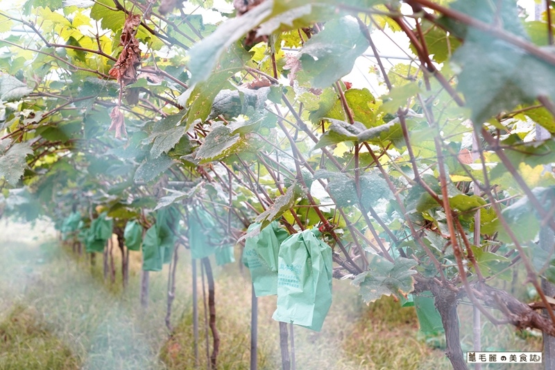 /tmp/phplWaI3w /tmp/phplWaI3w