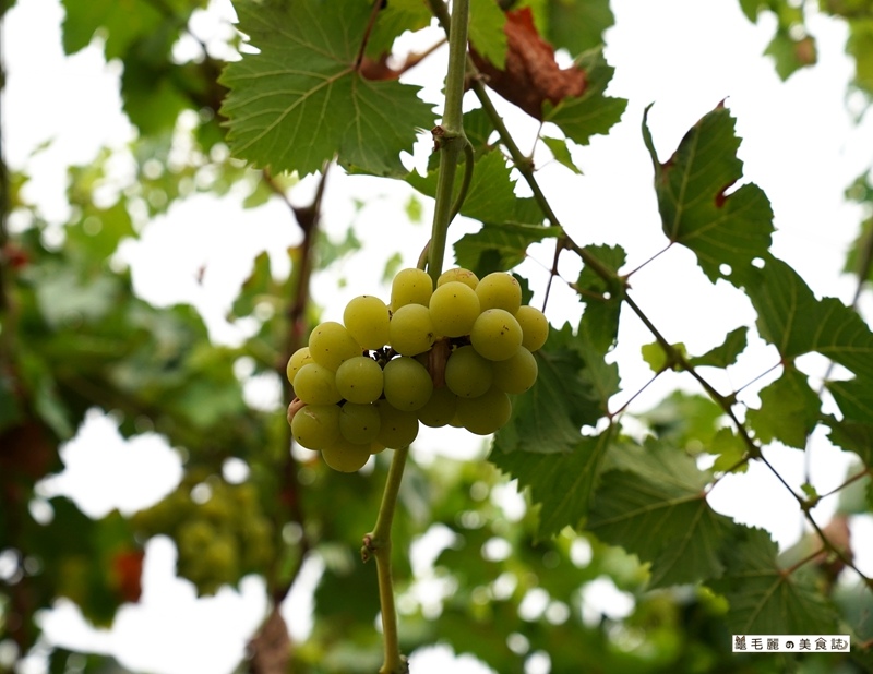 /tmp/phpZ7JStS /tmp/phpZ7JStS