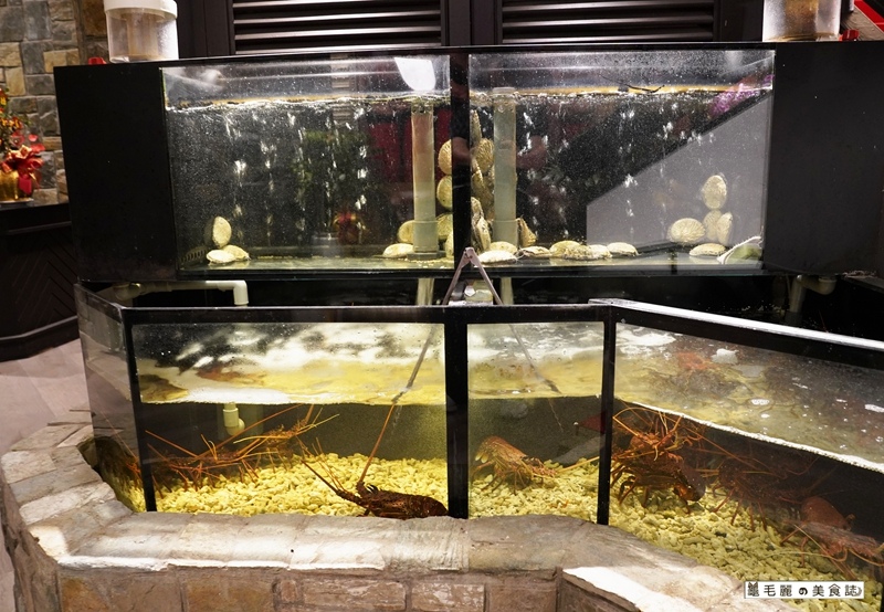 DSC09384.JPG DSC09384.JPG