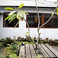 DSC07242.JPG