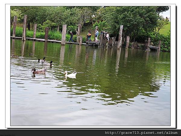 羅東運動公園 (7)