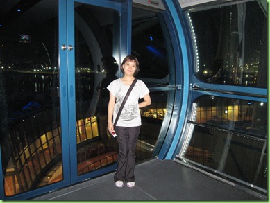 Singapore flyer (18)