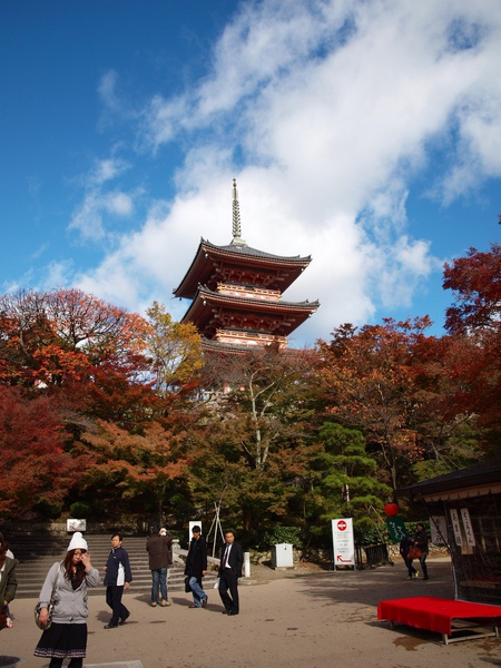 清水寺(最常在明信片中看到的景)