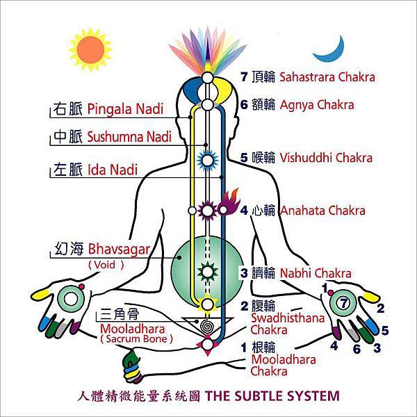 人體周圍精微能量系統圖