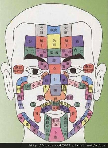 頭部全息圖 頭部全息圖