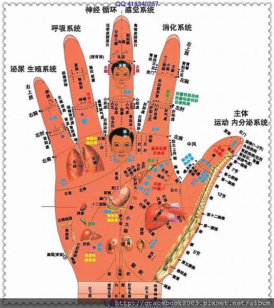 手部反射区与全息图-2.jpg