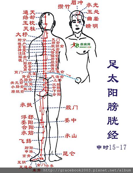 足太陽膀胱經.jpg